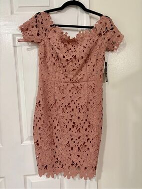 NWT Soft Rose Blush Off-Shoulder Lace Sheath Dress
